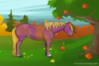 Horse Color:Painted Silver Bay Sabino