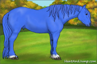 Horse Color:Watercolor Black 