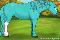 Horse Color:Watercolor Black 