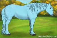 Horse Color:Watercolor Black 