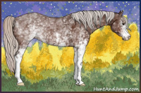Horse Color:White Spotted Silver Brown