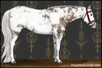 Horse Color:Silver Black Sabino 