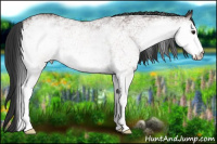 Horse Color:White Spotted Brown 