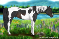 Horse Color:Brown Tobiano