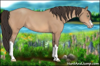 Horse Color:Amber Champagne 