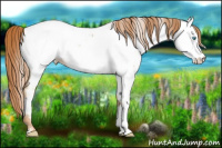 Horse Color:Buckskin Pearl Near Fewspot 