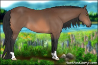 Horse Color:Brown 