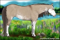 Horse Color:Liver Red Dun Sabino Rabicano 