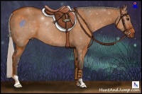 Horse Color:Silver Brown Dun 