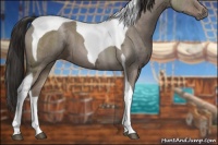 Horse Color:Liver Red Dun Ice Sabino Tobiano 
