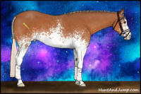 Horse Color:White Spotted Silver Bay 