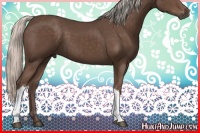 Horse Color:Silver Black 