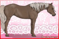 Horse Color:Silver Black 