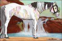Horse Color:Bay Ice Tobiano Appaloosa 