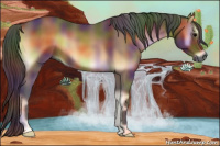 Horse Color:Gray Nacre Bay Onyx 