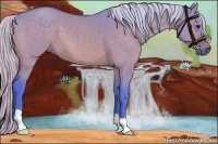 Horse Color:Watercolor Silver Brown Dun