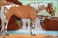 Horse Color:Silver Bay Tobiano