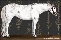 Horse Color:Silver Black Sabino 