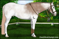 Horse Color:White Spotted Red Roan 