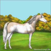 Horse Color:Silver Classic Champagne Dun Splash Frame 