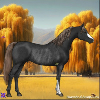 Horse Color:Liver Chestnut Rabicano