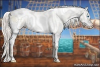 Horse Color:Chocolate Palomino Ice Pearl Dun Sabino Splash