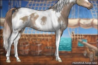 Horse Color:White Spotted Liver Red Dun Tobiano 