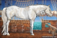 Horse Color:White Spotted Chocolate Palomino Pearl Dun Tobiano Brindle 