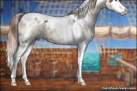 Horse Color:Liver Red Dun Sabino Splash Tobiano Brindle