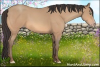 Horse Color:Amber Champagne 