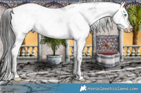 Horse Color:Gray Platinum White Spotted Buckskin Pearl Dun Sabino 