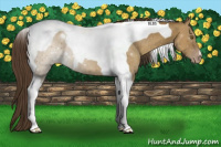 Horse Color:Classic Cream Champagne Tobiano
