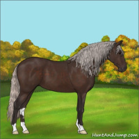 Horse Color:Silver Brown 