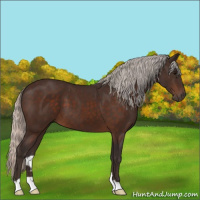 Horse Color:Silver Brown 