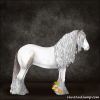 Horse Color:Grullo Pearl Onyx Sabino Splash Tobiano Rabicano 