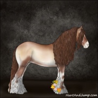 Horse Color:Brown Pearl Onyx Sabino Rabicano 