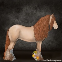 Horse Color:Buckskin Pearl Sabino Rabicano 