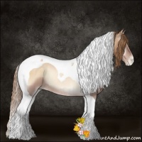 Horse Color:Red Onyx Pearl Sabino Tobiano Rabicano 