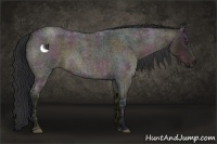 Horse Color:Midnight Brown Ice Roan Dun 