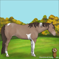 Horse Color:Classic Champagne Tobiano 