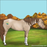 Horse Color:Liver Red Dun Snowdrop Pearl Varnish Brindle