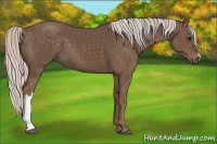 Horse Color:Silver Black 