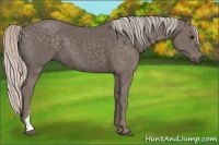 Horse Color:Silver Black 