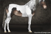 Horse Color:Liver Chestnut Tobiano 