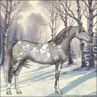Horse Color:Platinum White Spotted Chocolate Palomino Dun 