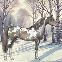 Horse Color:Platinum White Spotted Liver Chestnut 
