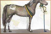 Horse Color:Platinum White Spotted Liver Chestnut 