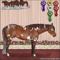 Horse Color:White Spotted Chocolate Brown