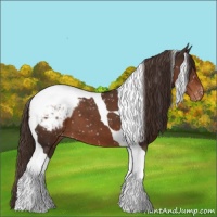 Horse Color:Liver Chestnut Tobiano Snowcap
