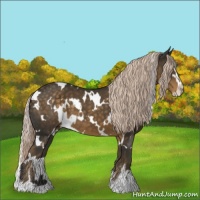 Horse Color:White Spotted Chocolate Palomino Sabino 